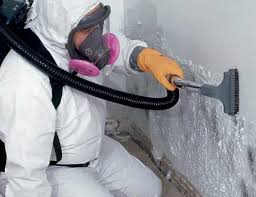 Why You Should Choose Our Mold Remediation Services in Hancock, MD